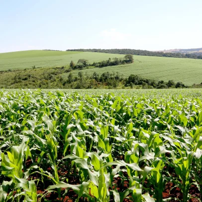 Conflitos encarecem fertilizantes, aumentando custos da próxima safra no Paraná