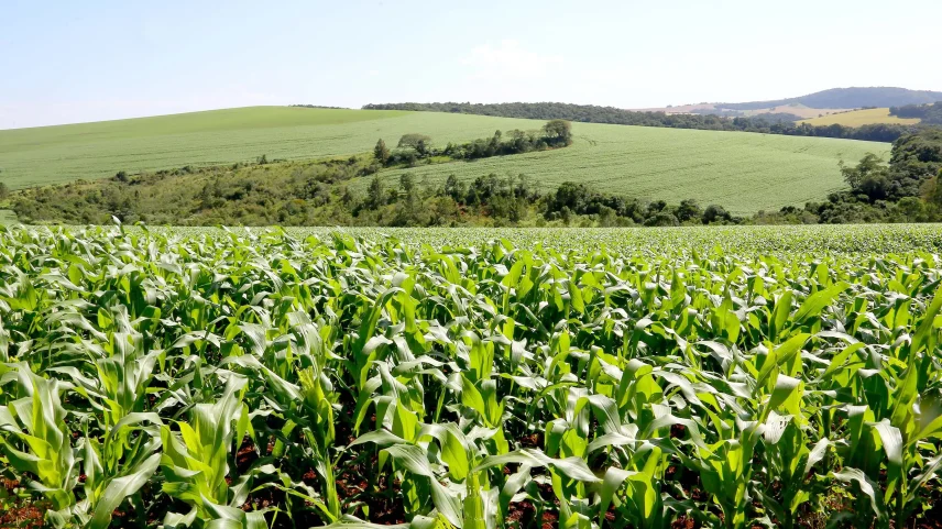 Conflitos internacionais pressionam o mercado de fertilizantes e elevam os custos da próxima safra no Paraná. (Foto: Jaelson Lucas/Governo do Paraná)