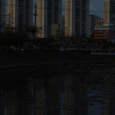 Rio Tietê não tem trecho livre de contaminação, aponta SOS Mata Atlântica