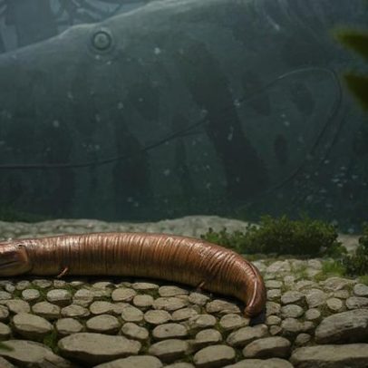 Primeiro vertebrado a colonizar a Terra não era como cientistas imaginavam