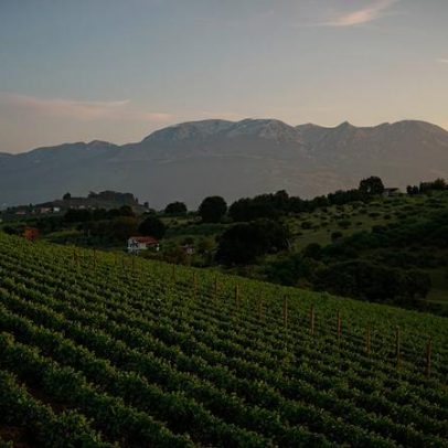 Cerasuolo d'Abruzzo: vinho italiano mais versátil?