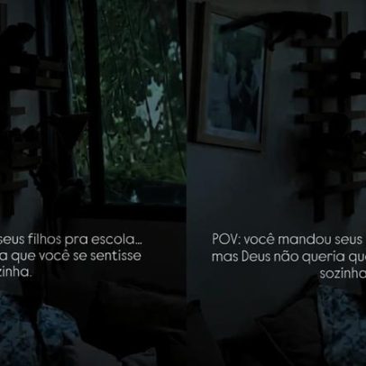 Saguis invadem apartamento no Cruzeiro e furtam comida