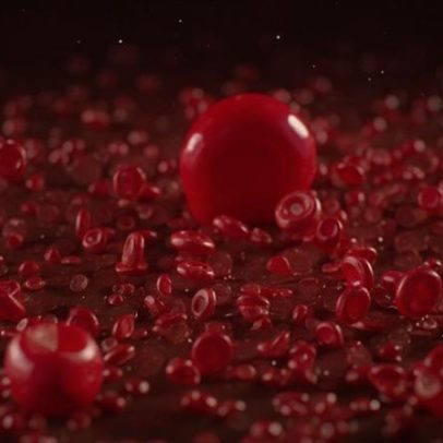 Dia dos Namorados: entenda a comparação entre sangue e namoro