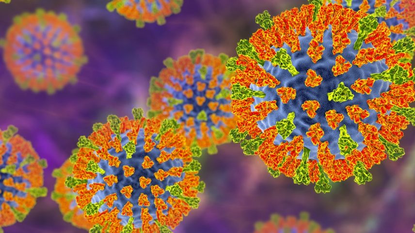 Ilustração da partícula do vírus do sarampo. Este vírus, do grupo Morbillivirus, consiste em um núcleo de RNA (ácido ribonucleico) circundado por um envelope repleto de proteínas de superfície, como a hemaglutinina-neuraminidase e a proteína de fusão, que são utilizadas para se ligar e penetrar em uma célula hospedeira. Metrópoles