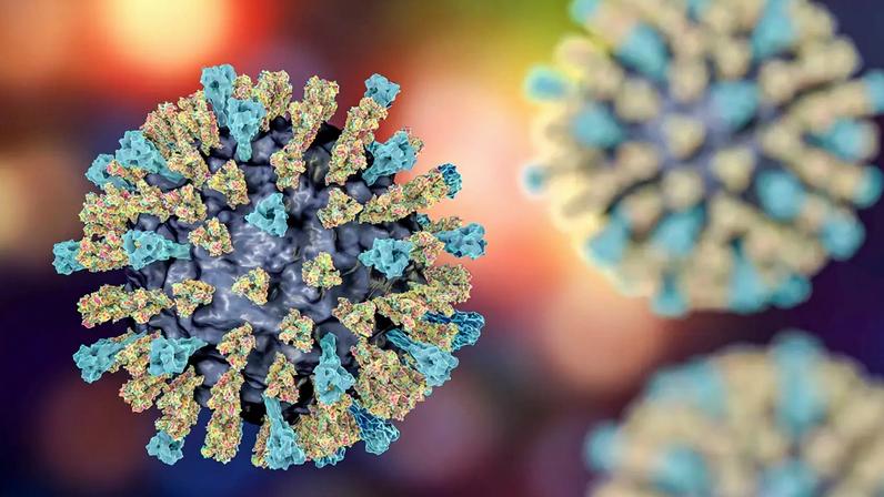 Sarampo: um dos vírus mais contagiosos do planeta (Ilustração: Kateryna Kon/Science Photo Library/Getty Images)