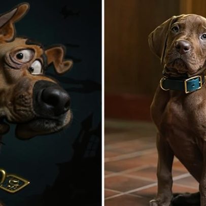 Conheça a raça real do cão que inspirou Scooby-Doo