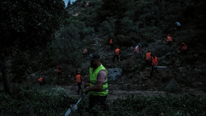Trabalhadores cortam galhos secos de árvores e limpam a vegetação rasteira para evitar a propagação de incêndios florestais no Monte Hymettus, com vista para Atenas, Grécia, em 14 de maio de 2026