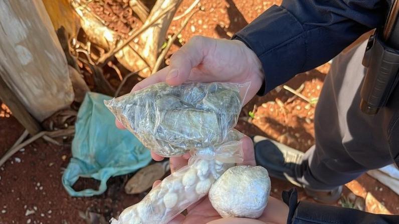 Seis são presos em operação contra tráfico de drogas e lavagem de dinheiro em Bocaiuva