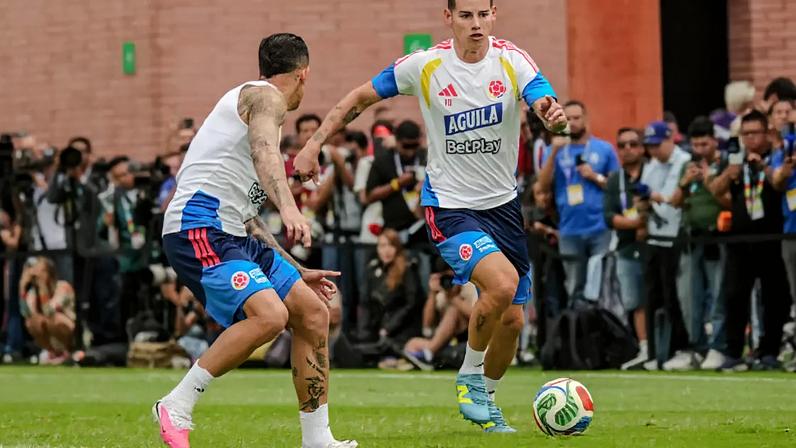 Equipe chegou a realizar exercícios em campo, mas precisou interromper atividade