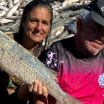 Governo amplia cota da pesca da tainha em Santa Catarina