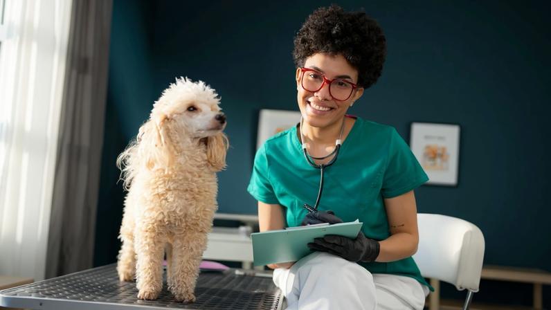 Um histórico veterinário organizado pode ajudar na prevenção de doenças, no diagnóstico precoce e na tomada de decisões mais seguras em situações de urgência
