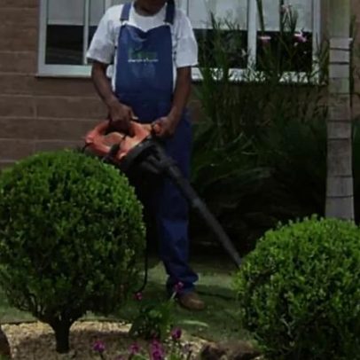 Aos 15 anos, jovens criam empresa de jardinagem e faturam US$560 mil
