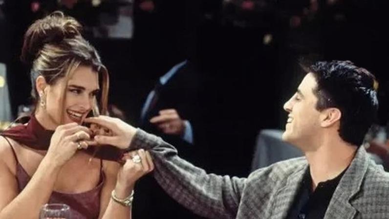 Brooke Shields como Erika Ford