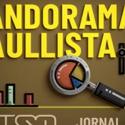 Panorama Paulista 126: desocupação, ocupação e rendimento no Estado de SP
