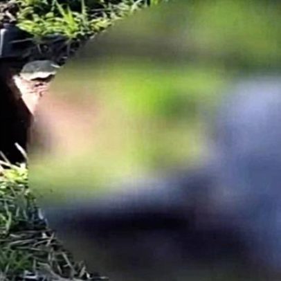Polícia investiga corpo encontrado em caixa de gordura de condomínio