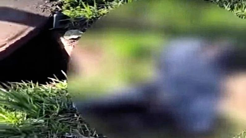 Corpo é encontrado em caixa de gordura de condomínio