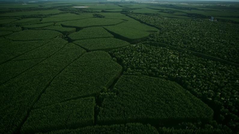 Giordano Automare, gerente-executivo de Sustentabilidade da Suzano, defende que a agenda social precisa caminhar ao lado da agenda ambiental