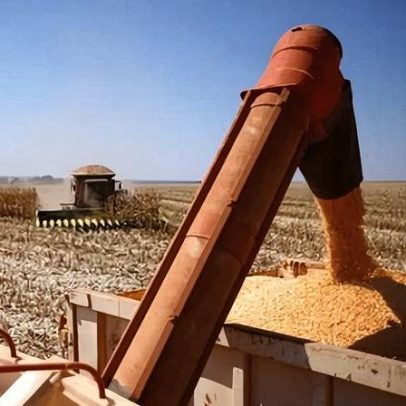 Safra de grãos estima 358,6 milhões de toneladas e pode superar recorde