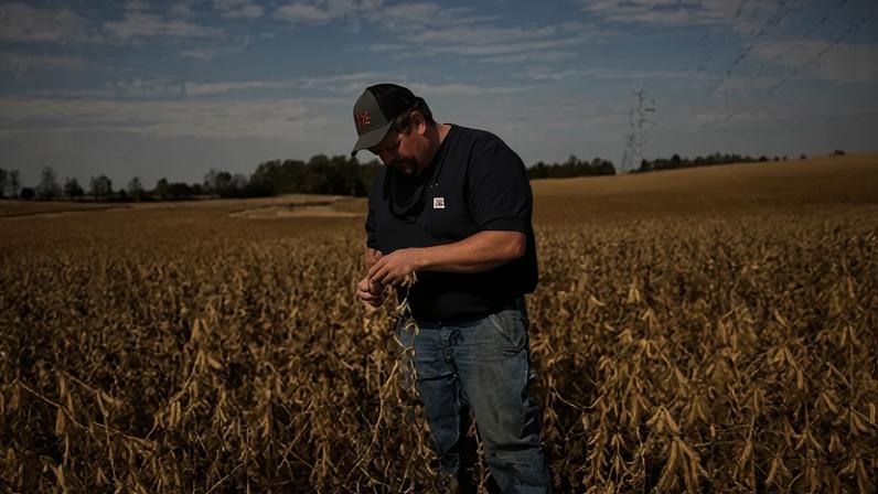 Agricultor de soja dos EUA em fazenda em Kentucky