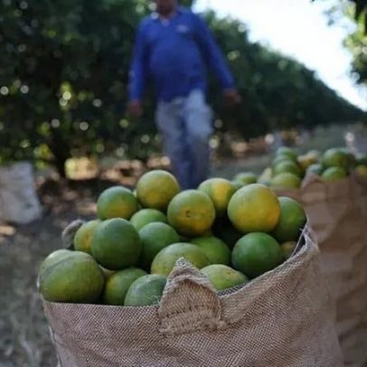 Abisolo diz que PEC reduz flexibilidade e prejudica o agro