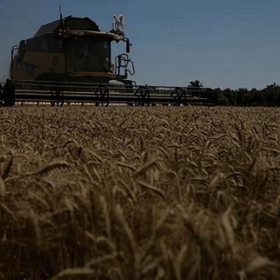 Ucrânia prevê colheita de 60 milhões de toneladas de grãos em 2026