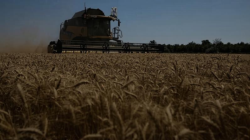 Agricultores colhem trigo na região de Luhansk