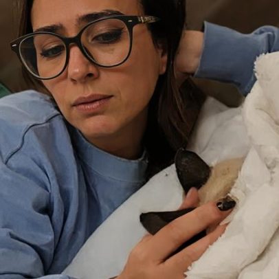 Tata Werneck lamenta a morte do gato de estimação, chamado "Meu filho"