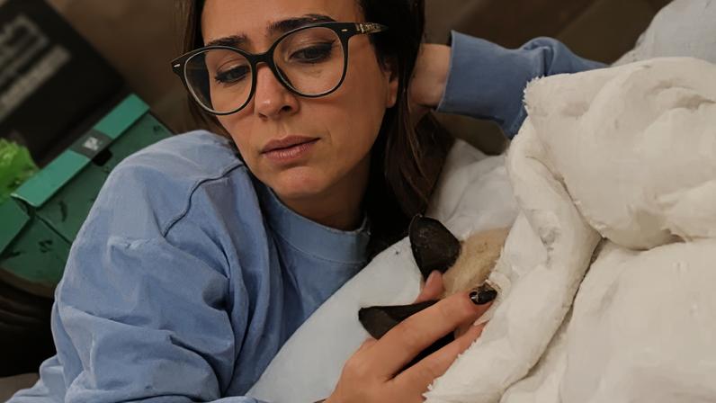Tata Werneck lamenta a morte do gato de estimação, chamado "Meu filho"