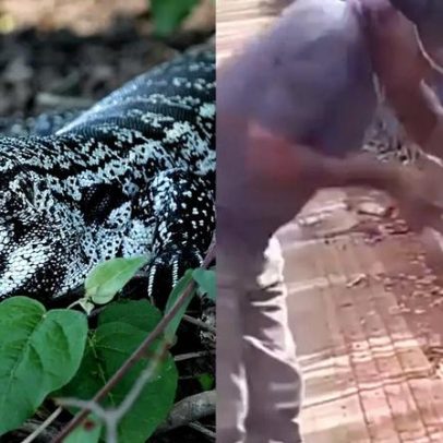Trabalhador perde parte do dedo ao tentar dar água a lagarto no MT
