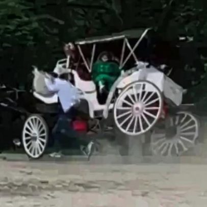 Turista de 18 anos morre após queda de carruagem desgovernada no Central Park