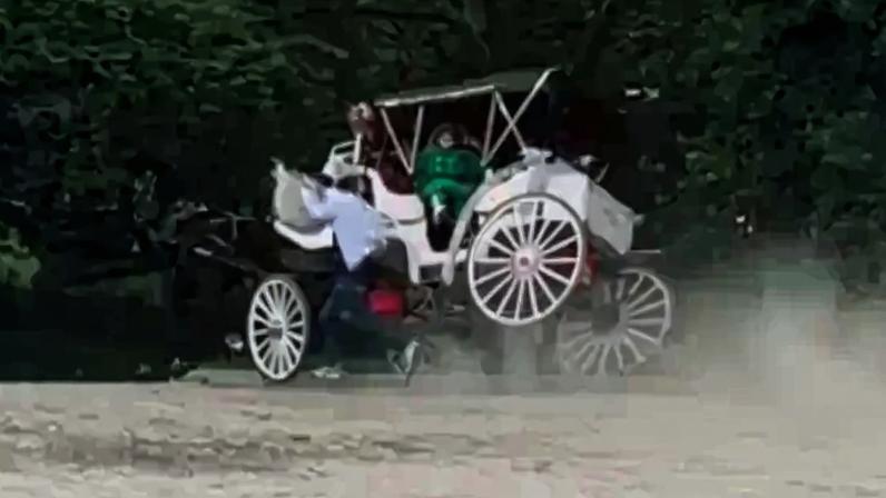 Momento foi registrado por testemunhas que estavam pelo parque