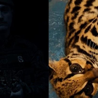 Polícia resgata gato em SP, mas encontra jaguatirica