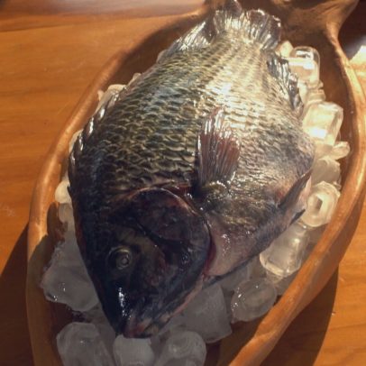 Tarifa dos EUA sobre tilápia brasileira pode reduzir preço do peixe