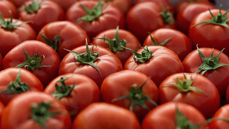 Tomate: um dos elementos presentes em suco avaliado por cientistas americanos