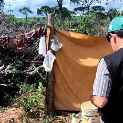 Brasil enfrenta crise na fiscalização do trabalho forçado