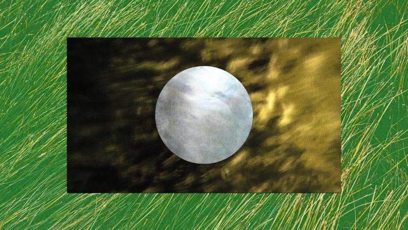 Images showing the textures of a field, gold, and pearl.