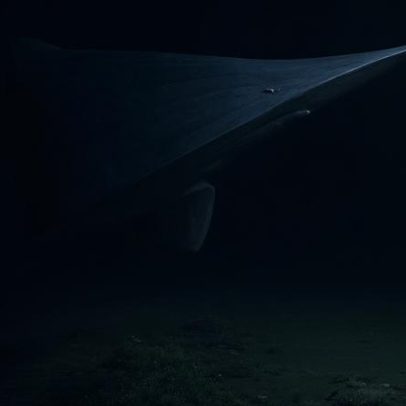 Raro tubarão-duende é filmado em habitat natural pela primeira vez