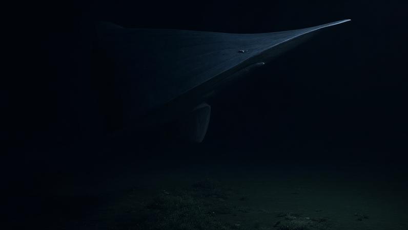 O raro tubarão-duende foi filmado por pesquisadores durante uma expedição à Fossa de Tonga, no Oceano Pacífico — Foto: Centro de Pesquisa em Águas Profundas Mindaroo-UWA