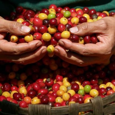 Carne, café e aeronaves ficam fora da tarifa de 25% proposta pelos EUA