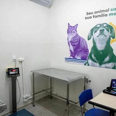 Prefeitura de BH muda canal de agendamento de serviços veterinários