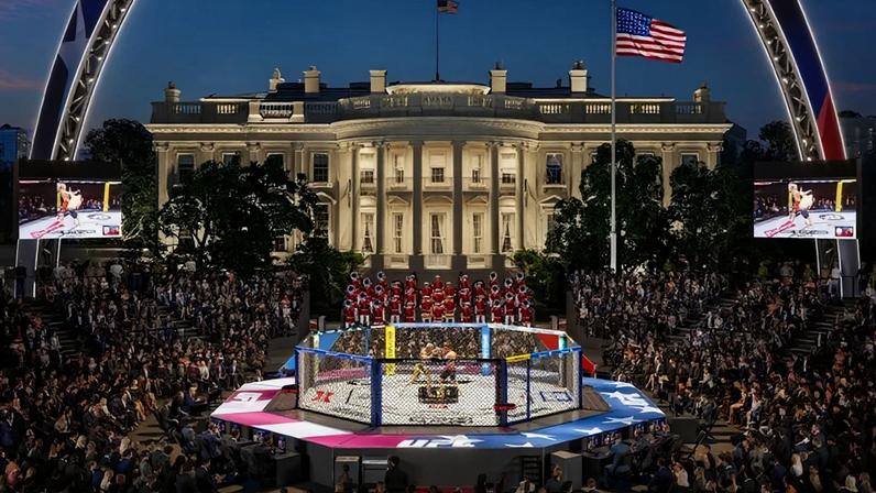 Articulista afirma que a festa deve misturar público e privado, produzindo lucros financeiros para o presidente, familiares e aliados; na imagem, ilustração de um ringue de UFC no jardim da Casa Branca