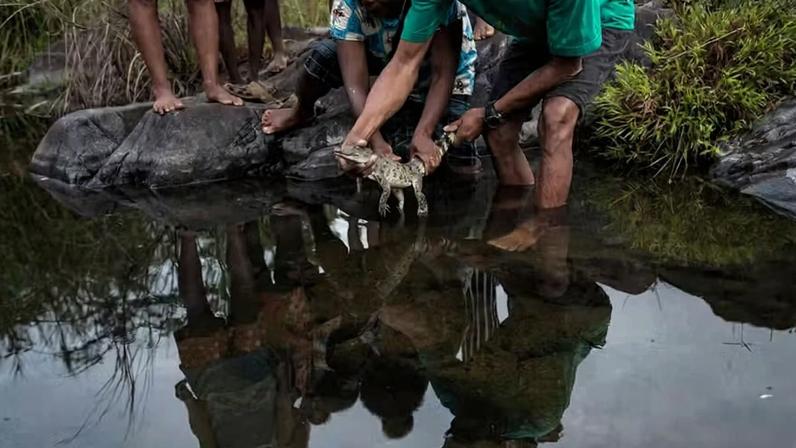 Proteger a água é proteger comunidades e espécies — Foto: Giacomo d’Orlando
