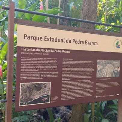 Esquema de venda irregular de terrenos em parque estadual do Rio é apurado