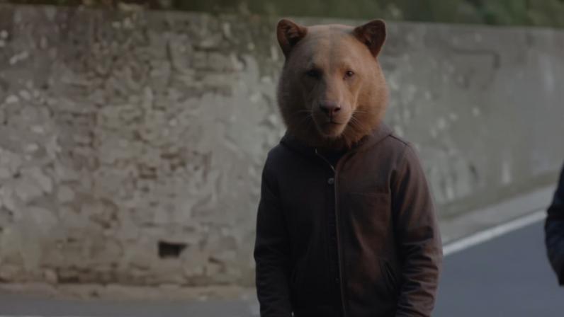 Urso antes de atacar carro de turistas na Romênia - Metrópoles