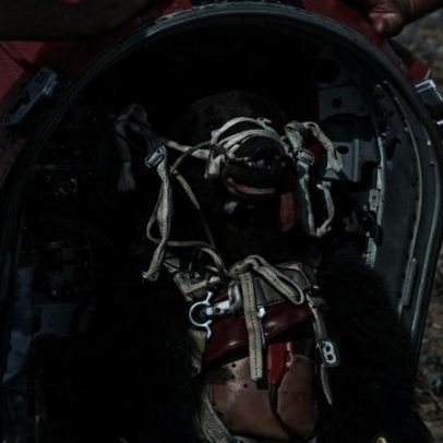 Urso ejetado de avião supersônico para salvar pilotos