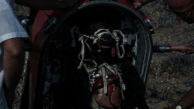 Urso usado durante testes de ejeção cápsula de escape do bombardeiro supersônico B-58 na década de 1960 (Imagem melhorada com o uso de I.A.)