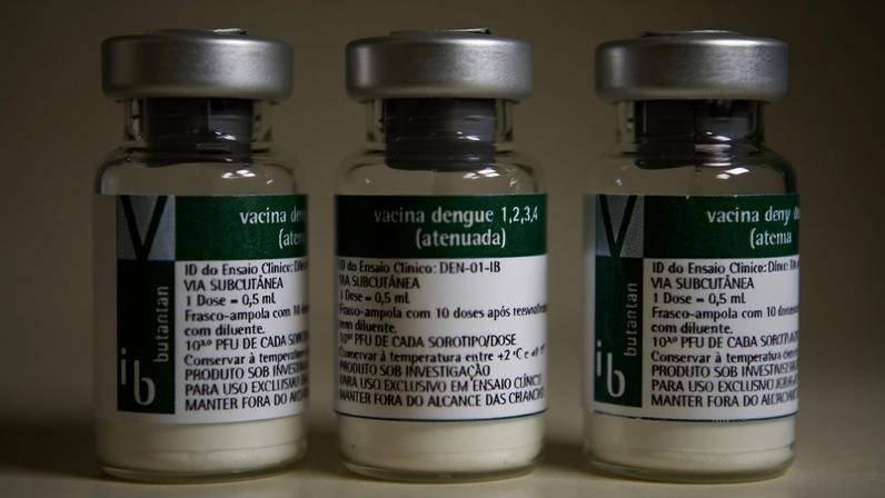 Suspensão da vacina da dengue do Butantan: próximos passos