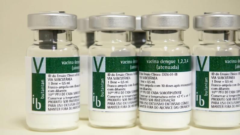 Vacina da Dengue | Divulgação