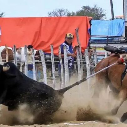 Vaqueiro é morto a facadas ao recusar dividir premiação na vaquejada do Ceará