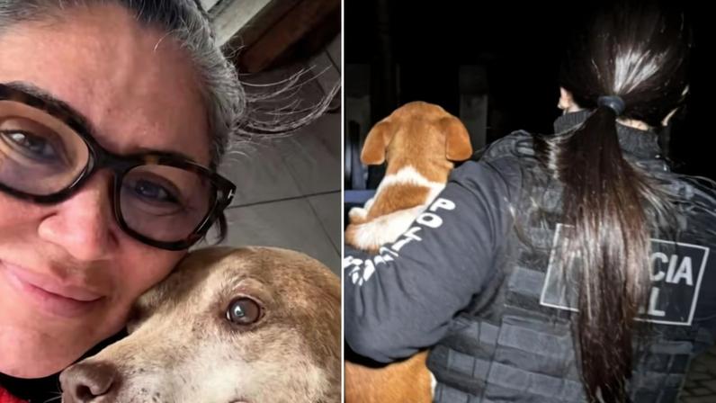 Ex-secretária de Bem-Estar Animal é presa por “eutanásia via Pix”